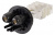Муфта-кросс МКО-Ц8/С09-1PLC4-SC/APC-5SC/APC-1SC/APC-2ФТ16 ССД